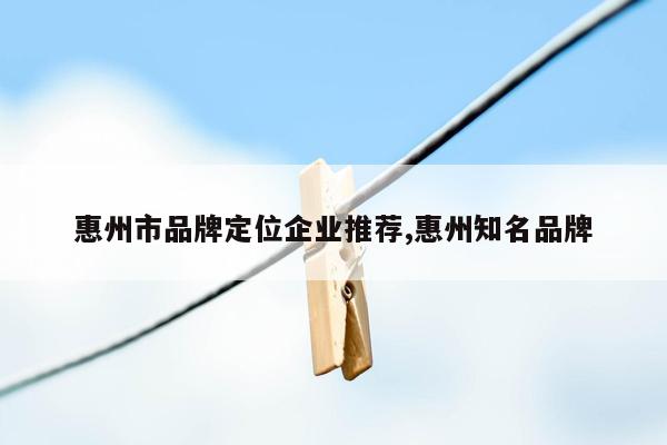 惠州市品牌定位企业推荐,惠州知名品牌