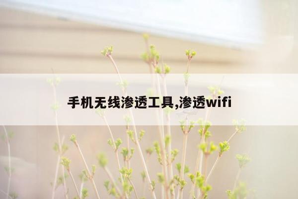 手机无线渗透工具,渗透wifi