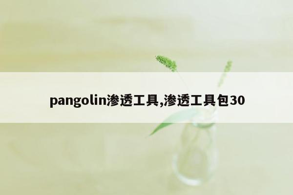 pangolin渗透工具,渗透工具包30