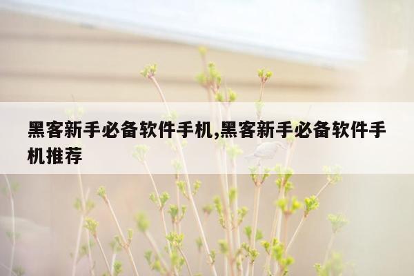 黑客新手必备软件手机,黑客新手必备软件手机推荐