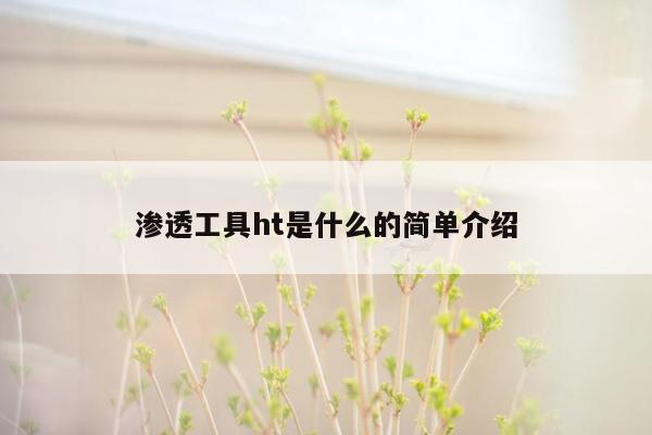 渗透工具ht是什么的简单介绍