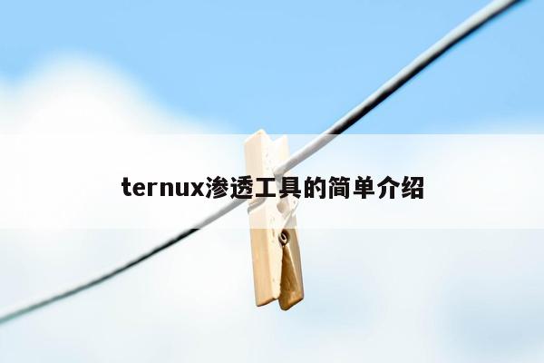 ternux渗透工具的简单介绍