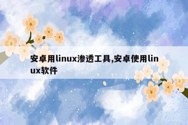 安卓用linux渗透工具,安卓使用linux软件