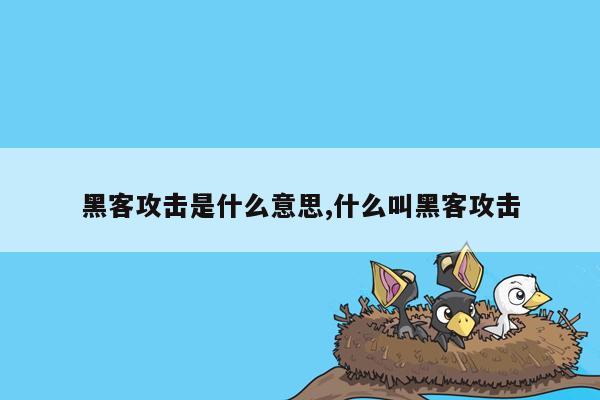 黑客攻击是什么意思,什么叫黑客攻击